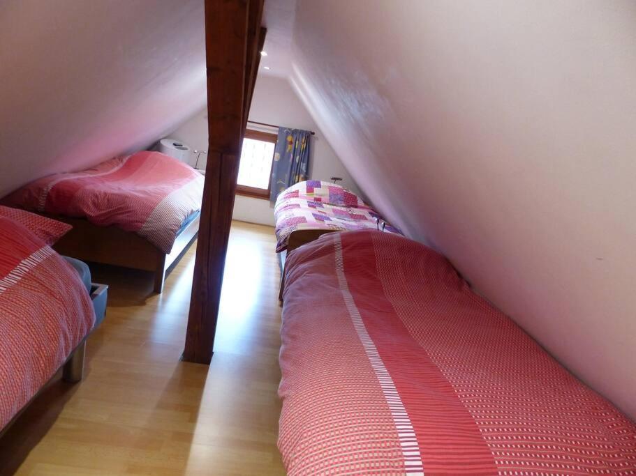 Gite Spacieux Au Coeur De L'Alsace 3*** Sélestat Kültér fotó