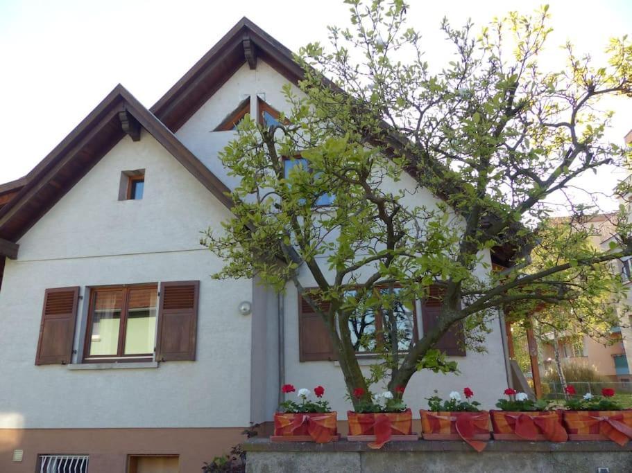 Gite Spacieux Au Coeur De L'Alsace 3*** Sélestat Kültér fotó