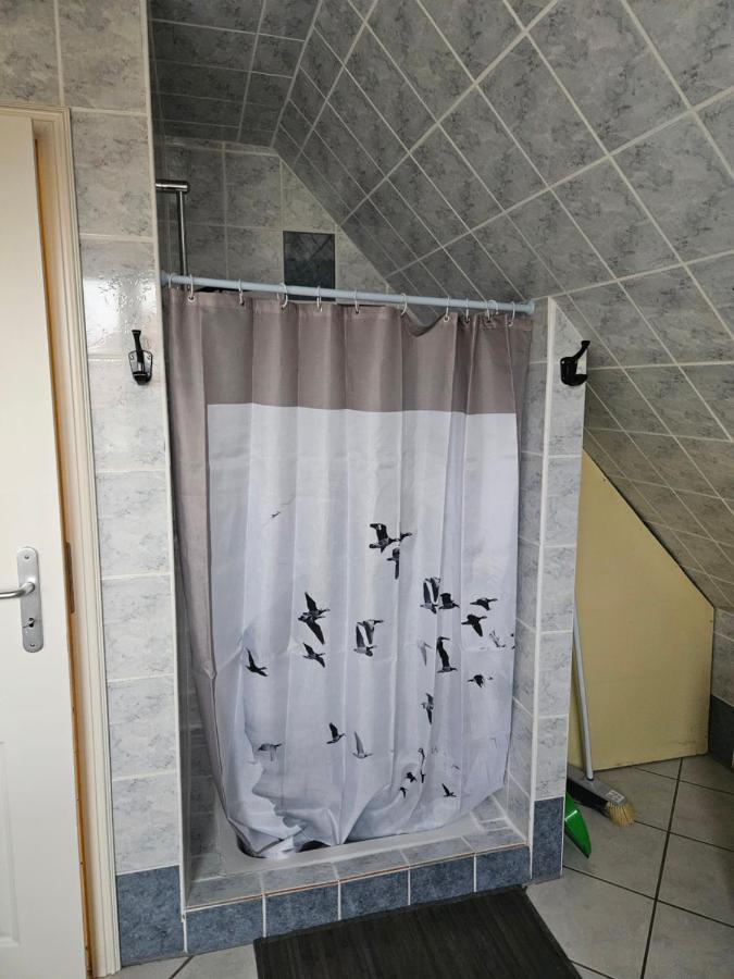 Gite Spacieux Au Coeur De L'Alsace 3*** Sélestat Kültér fotó