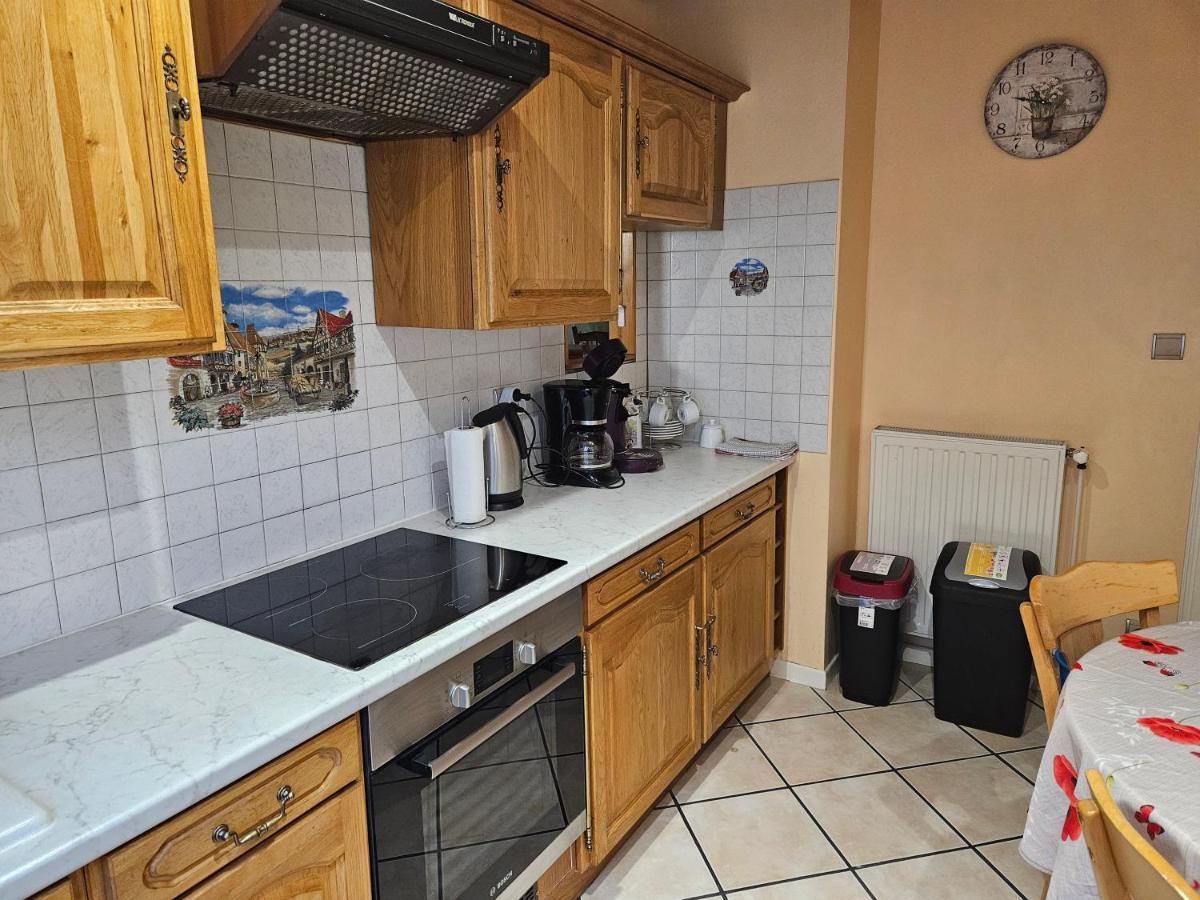 Gite Spacieux Au Coeur De L'Alsace 3*** Sélestat Kültér fotó