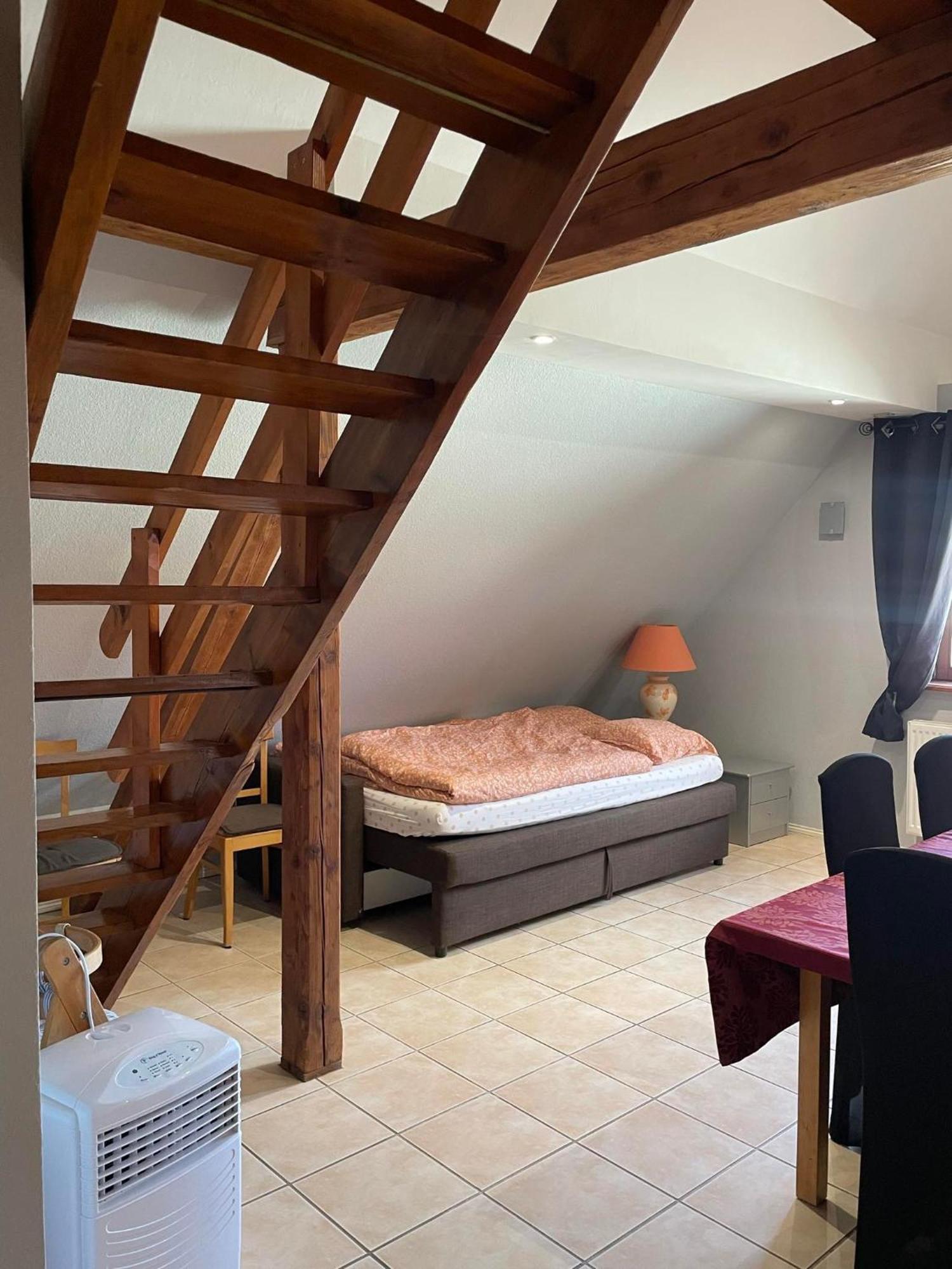 Gite Spacieux Au Coeur De L'Alsace 3*** Sélestat Kültér fotó